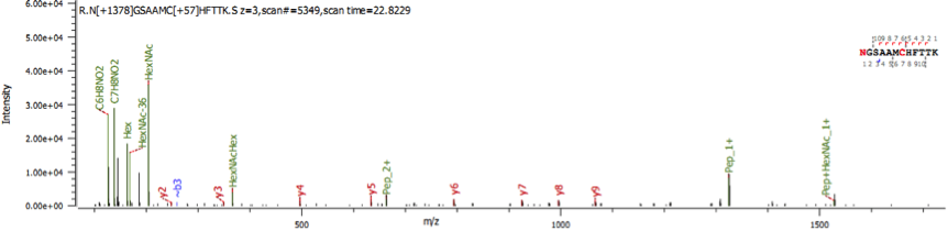 biopharmaceutical glycan profiling-sequence analysis4.png
